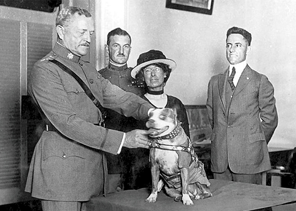 Gen. John Pershing awards Sgt. Stubby with a gold medal in 1921. Stubby served in 17 battles and fought in four major allied offensives during WWI. (Photo courtesy of Smithsonian Institution’s National Museum of American History) http://www.acc.af.mil/news/story.asp?id=123363512