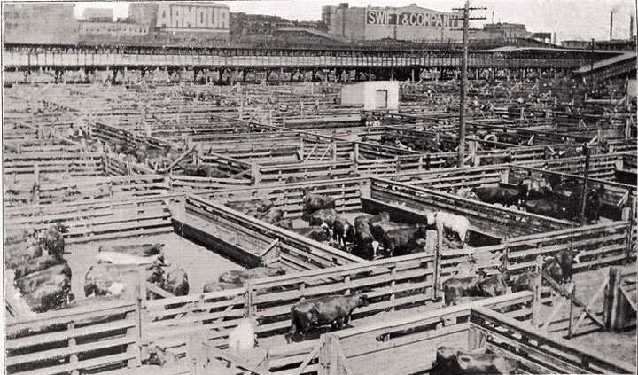 chicago-stockyards